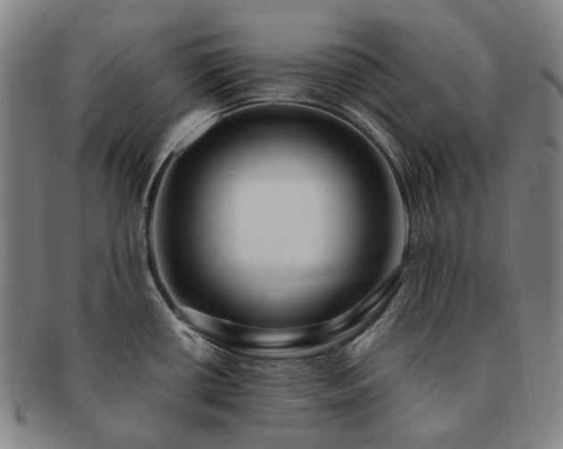 X0000091491434200708231412