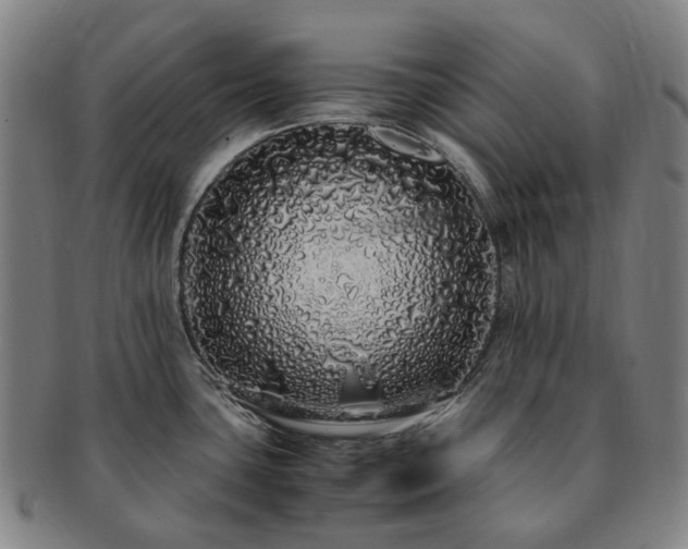 X0000091491435200708231412