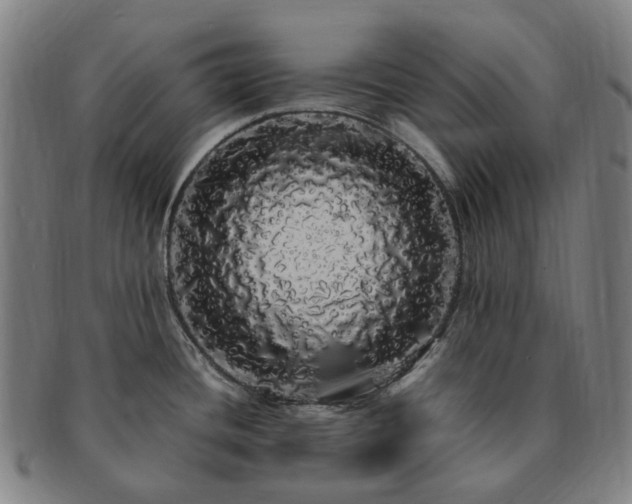 X0000091491436200708231412