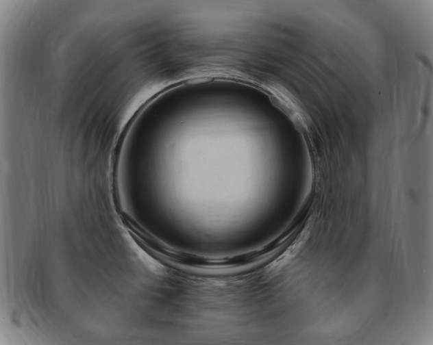 X0000091491438200708231412