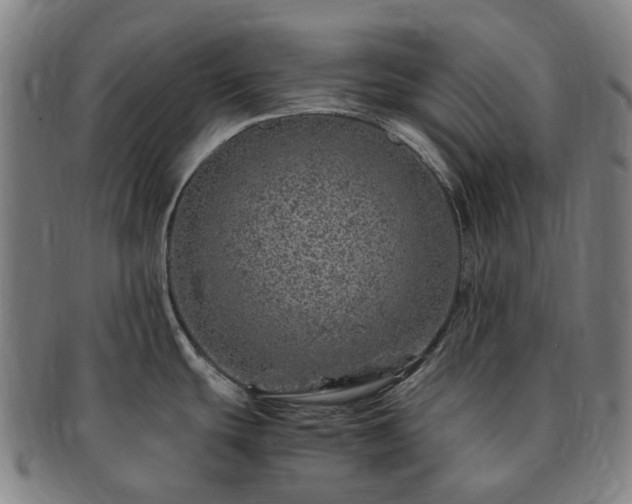 X0000091491439200708231412