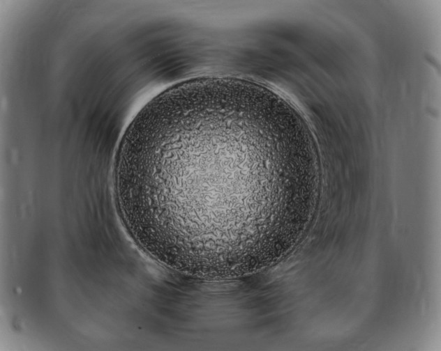 X0000091491440200708231412