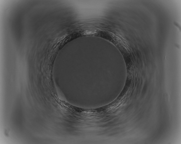 X0000091491441200708231411