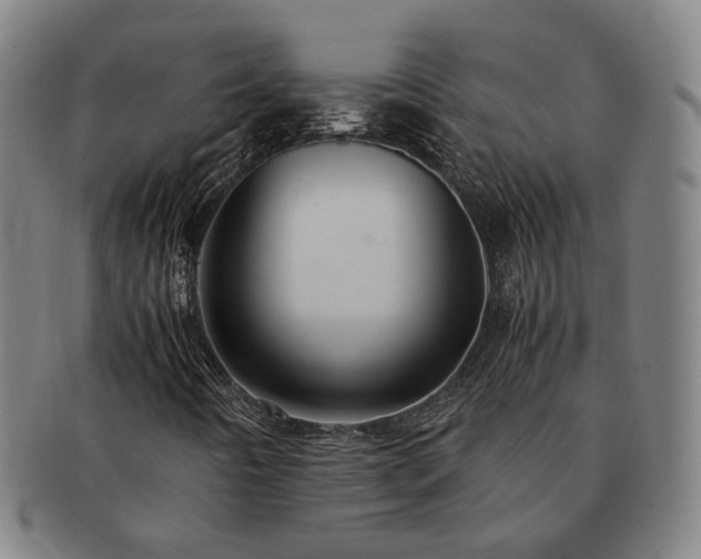 X0000091491442200708231411