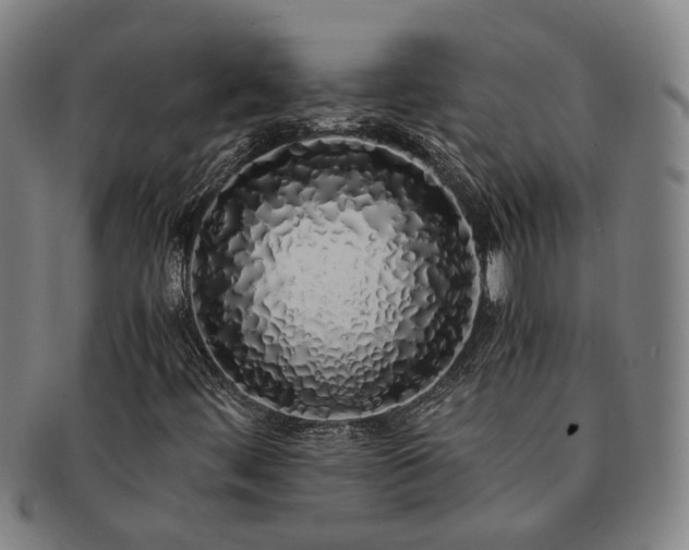 X0000091491444200708231411