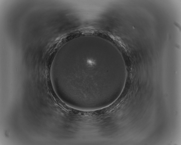 X0000091491445200708231411