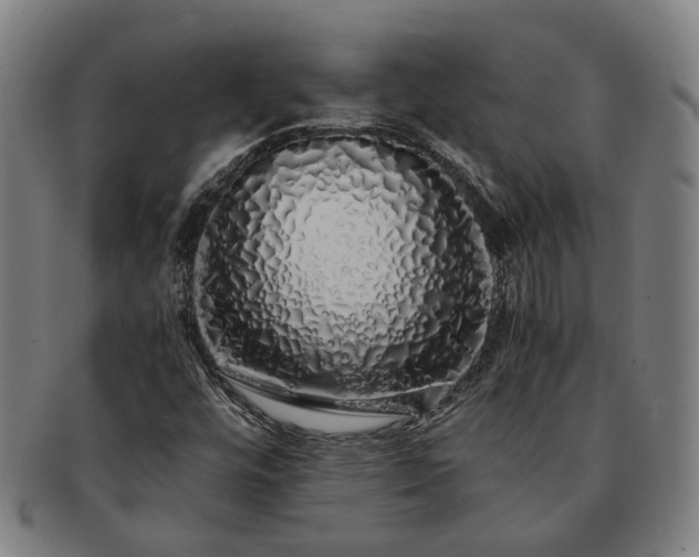 X0000091491448200708231411