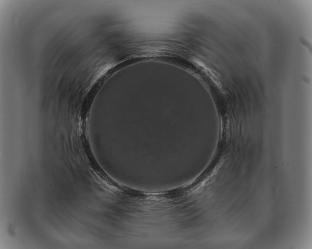 X0000091491449200708231411