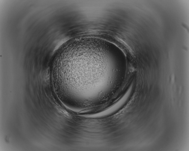 X0000091491450200708231411