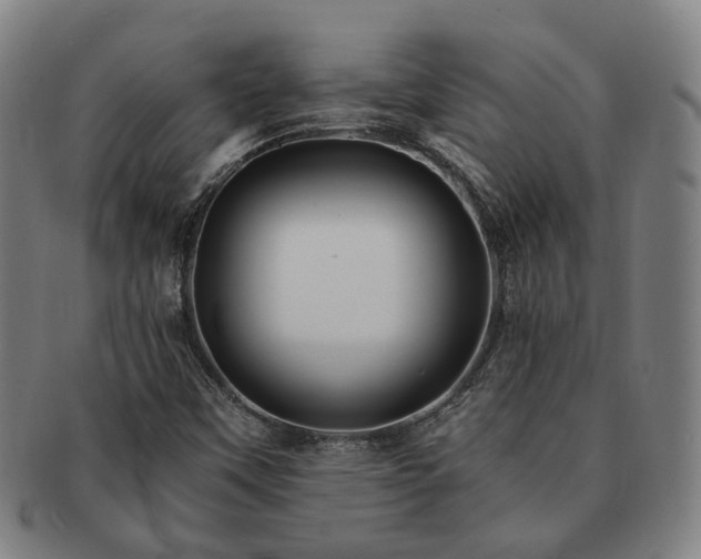 X0000091491451200708231411