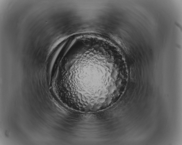 X0000091491452200708231411