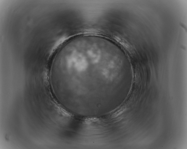 X0000091491454200708231411