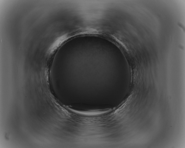 X0000091491455200708231411