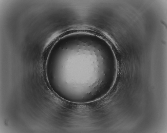 X0000091491456200708231411