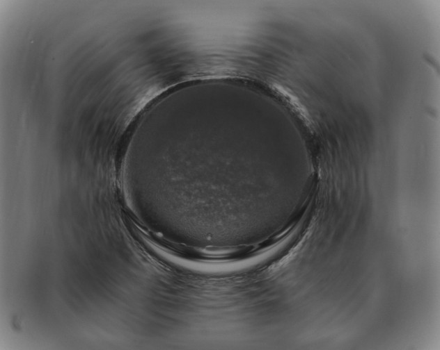 X0000091491457200708231411