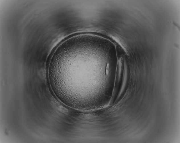 X0000091491460200708231411