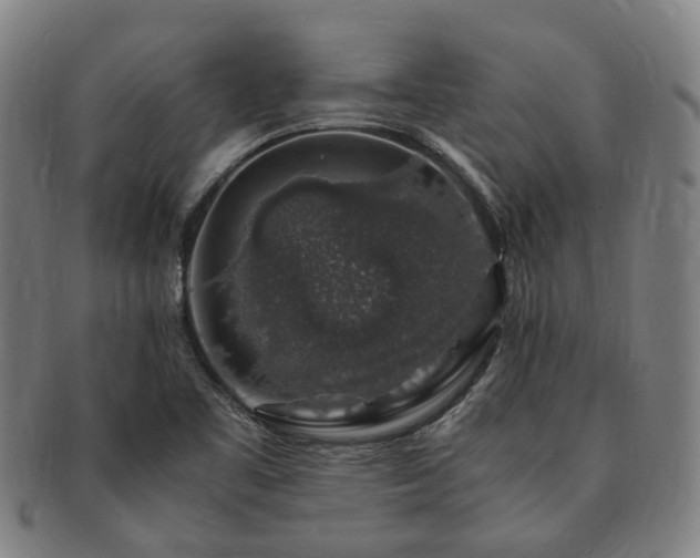 X0000091491461200708231411
