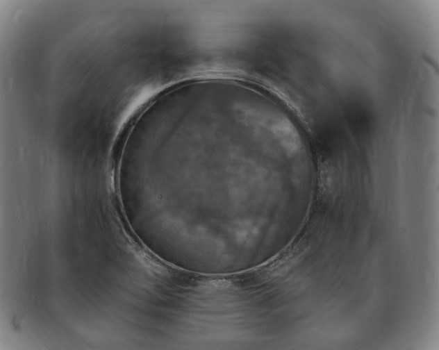 X0000091491462200708231411
