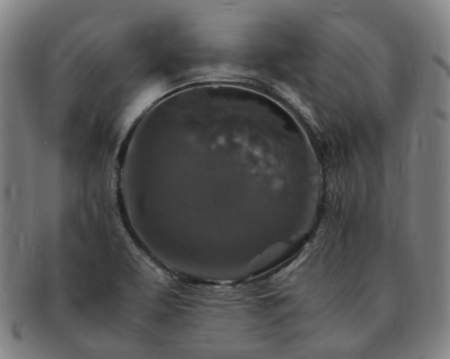 X0000091491463200708231411