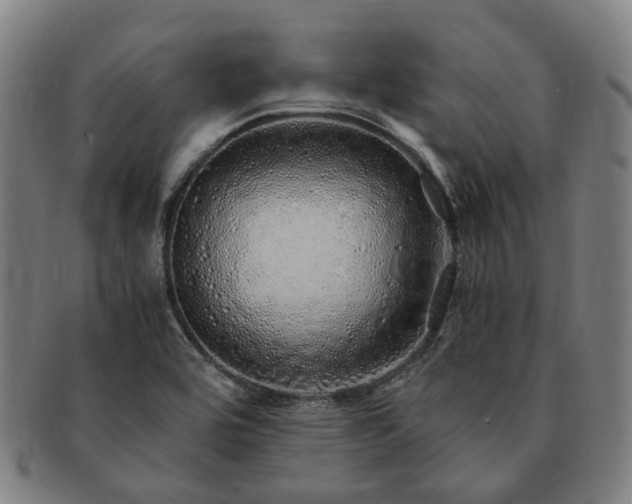 X0000091491464200708231411