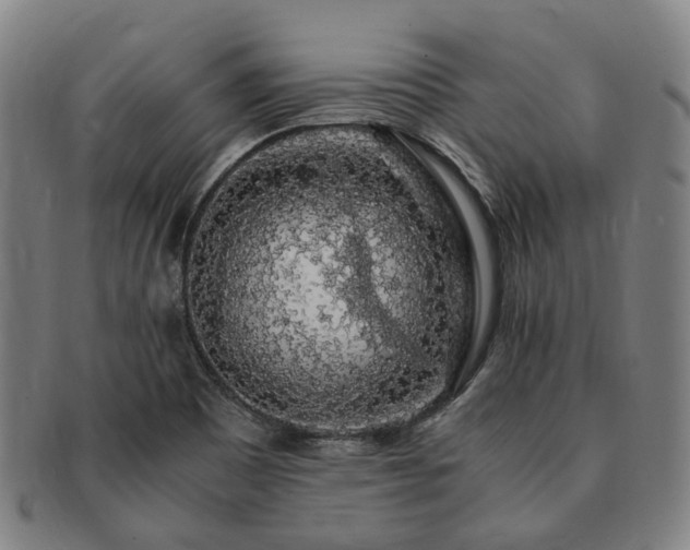X0000091491465200708231411
