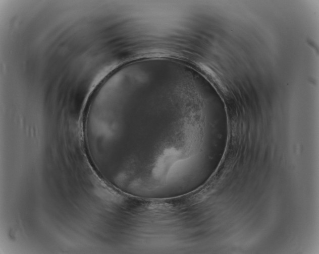 X0000091491466200708231411