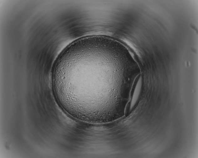 X0000091491468200708231411
