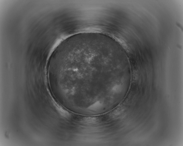 X0000091491470200708231411