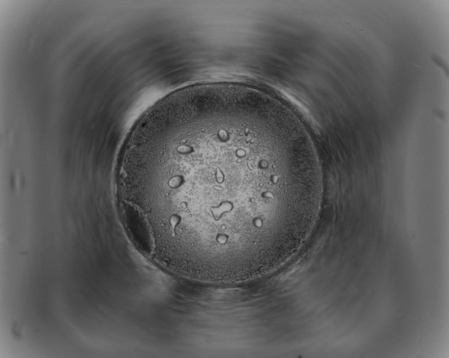 X0000091491471200708231411