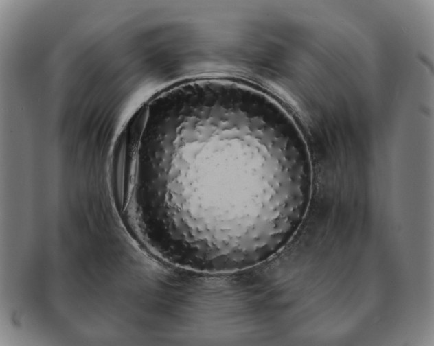 X0000091491472200708231411