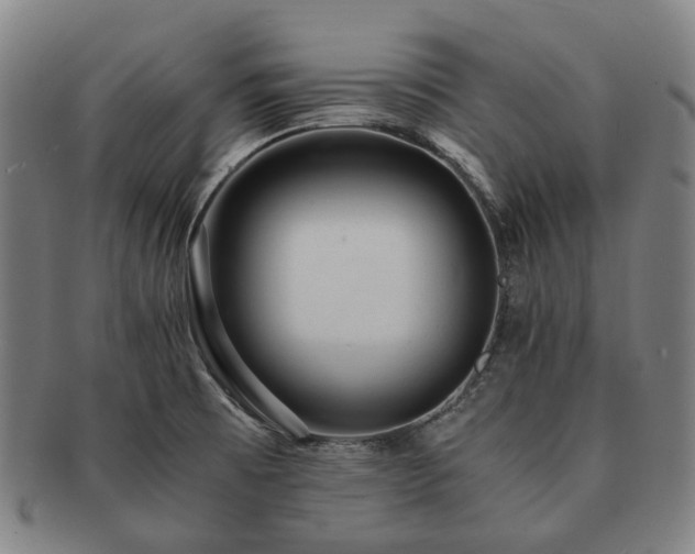 X0000091491473200708231411