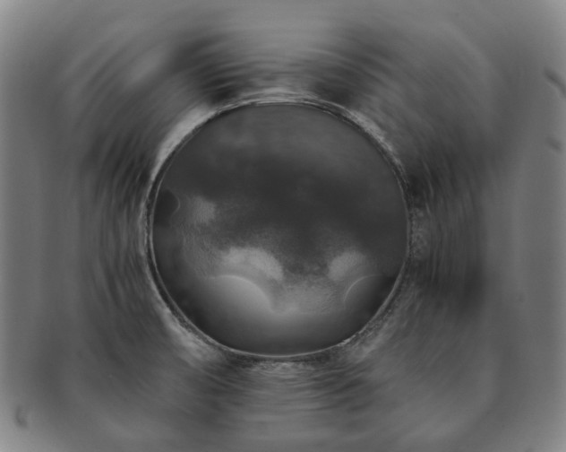 X0000091491474200708231411