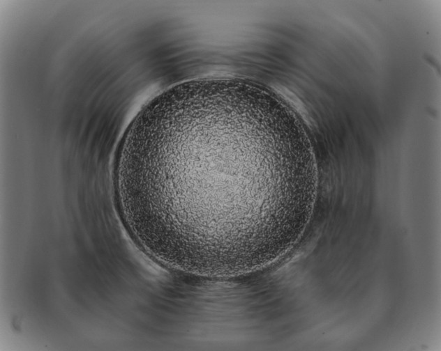 X0000091491475200708231411