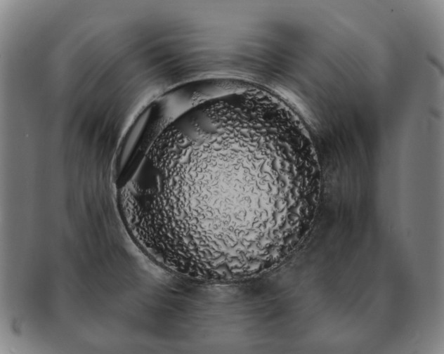 X0000091491476200708231411