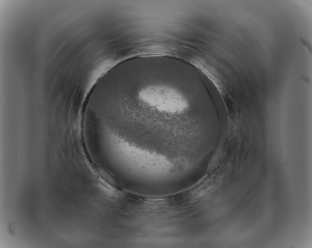 X0000091491477200708231411