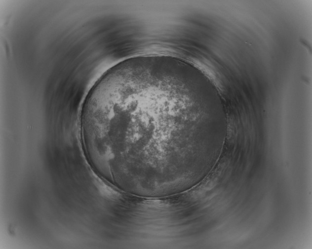 X0000091491478200708231411