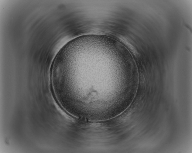 X0000091491479200708231411