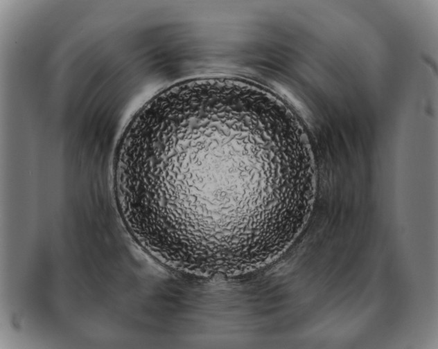 X0000091491480200708231411