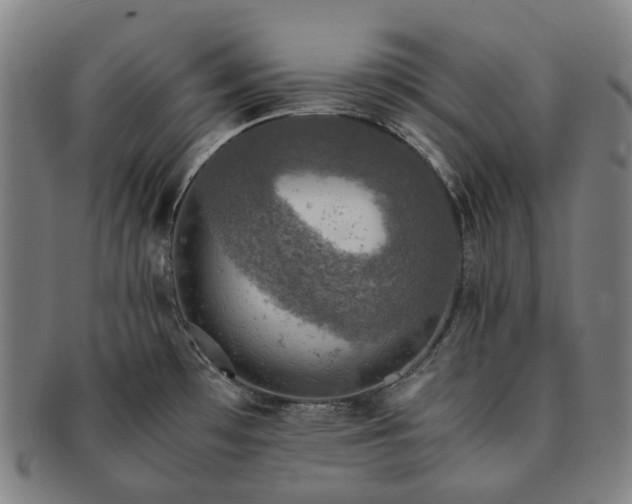 X0000091491481200708231411