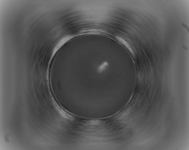 X0000091491482200708231411