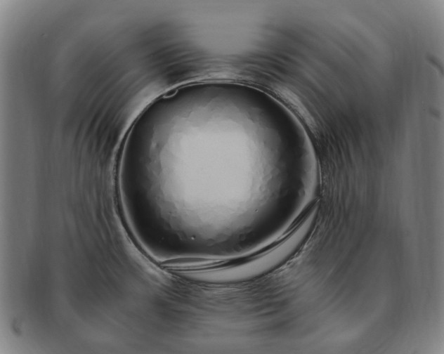 X0000091491483200708231411