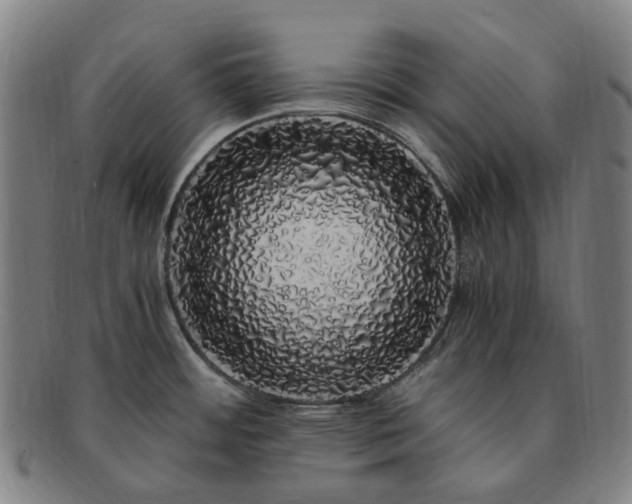 X0000091491484200708231411
