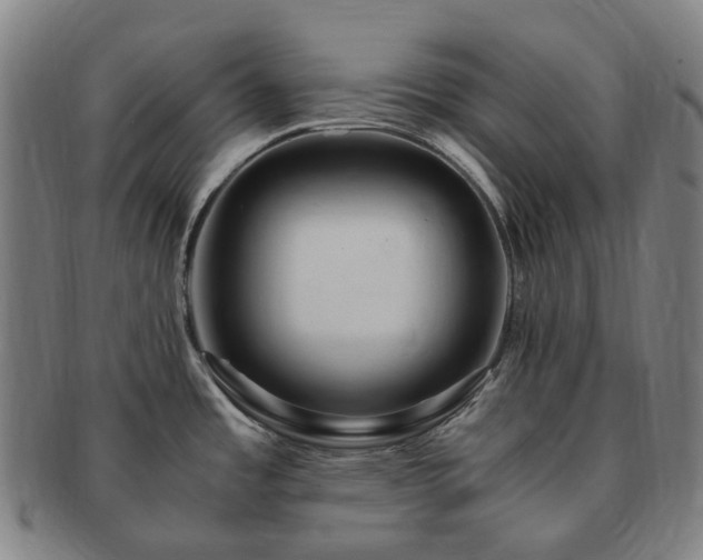 X0000091491485200708231411