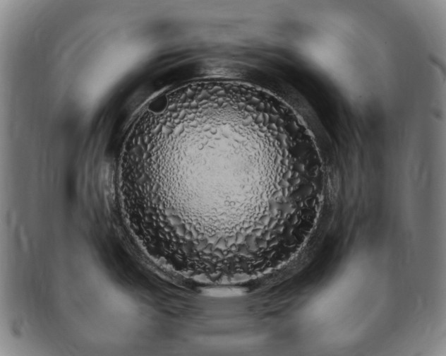 X0000091491487200708231411