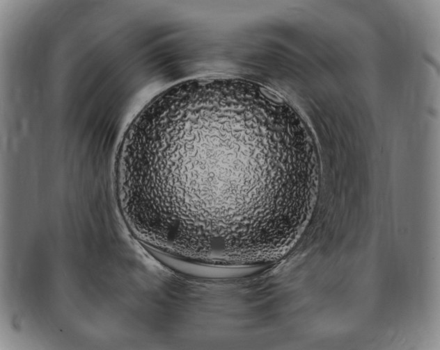 X0000091491488200708231411