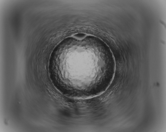 X0000091491489200708231410