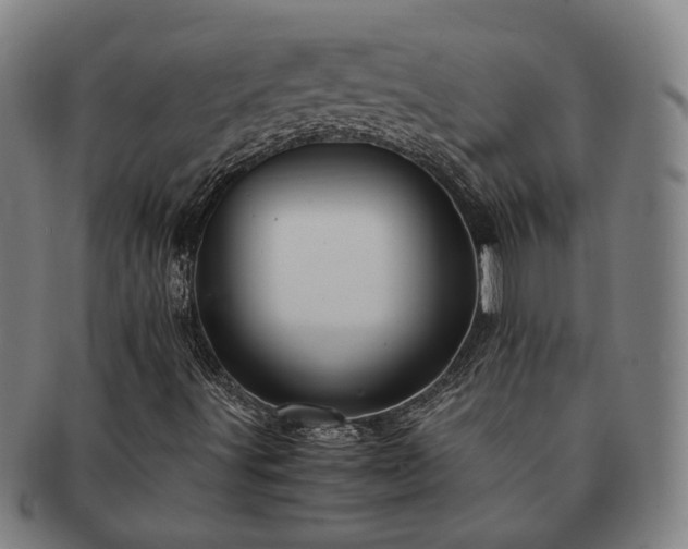 X0000091491491200708231410
