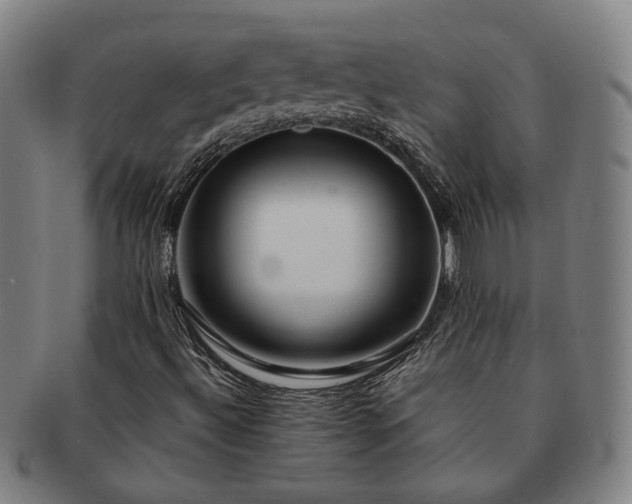 X0000091491492200708231410