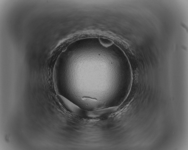 X0000091491494200708231410