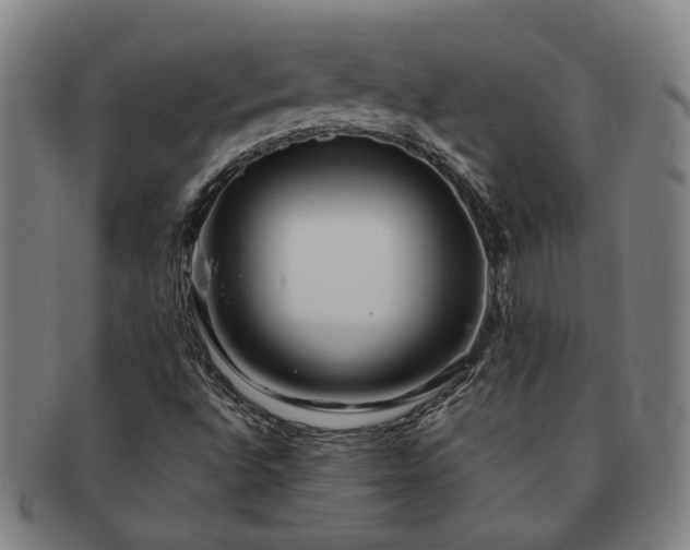 X0000091491496200708231410
